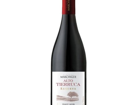 Alto Tierruca Pinot Noir Reserva 2020 - 750ML Cheap