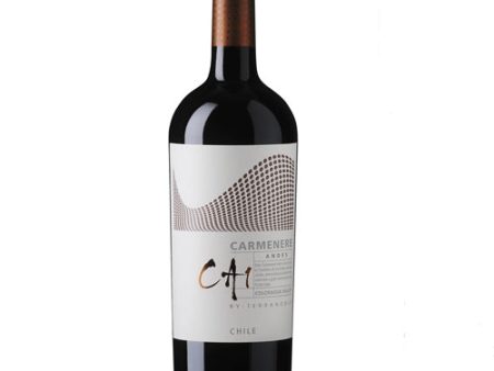 Terranoble Carmenere Ca1 Andes 2020 -750ml Online Hot Sale